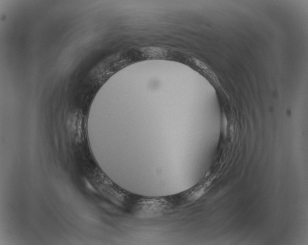 X0000081470525200702021835