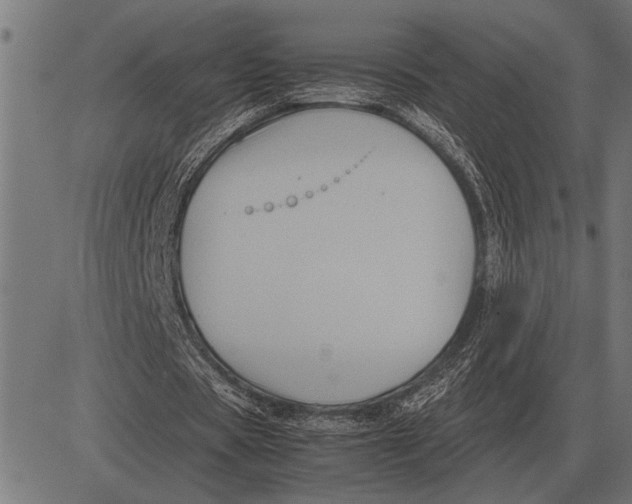 X0000081470529200702021834