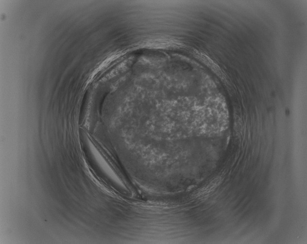 X0000081470530200702021834