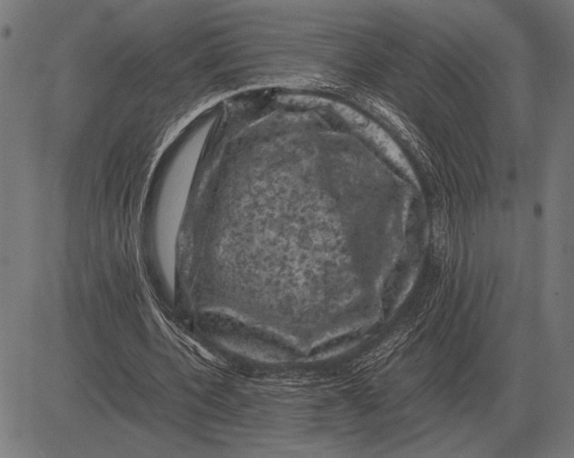 X0000081470532200702021835