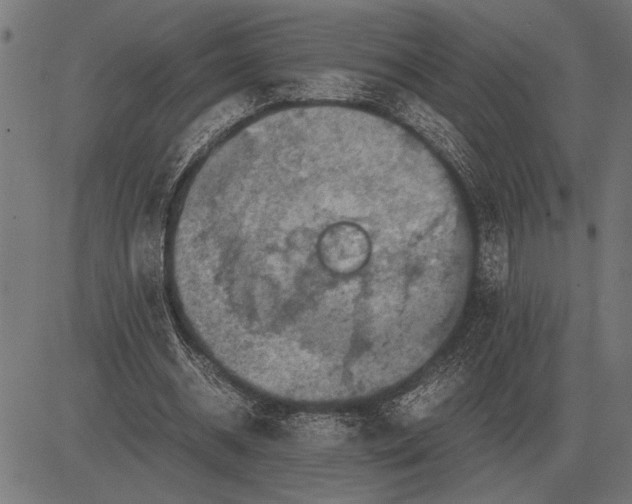 X0000081470534200702021835