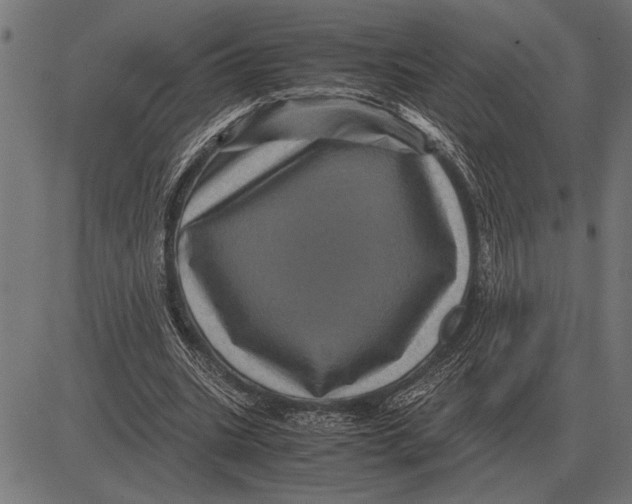 X0000081470535200702021835