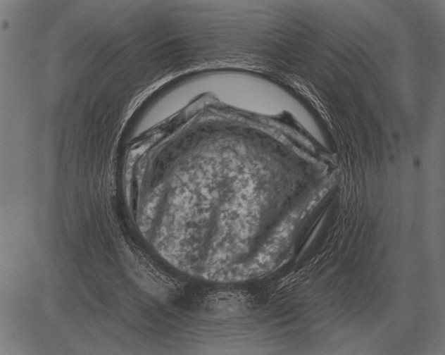 X0000081470536200702021835