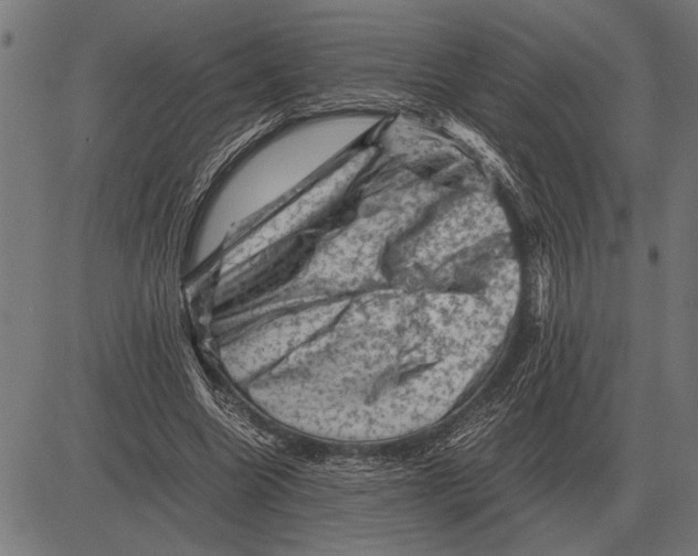 X0000081470538200702021835