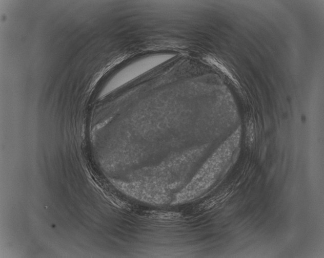 X0000081470539200702021835