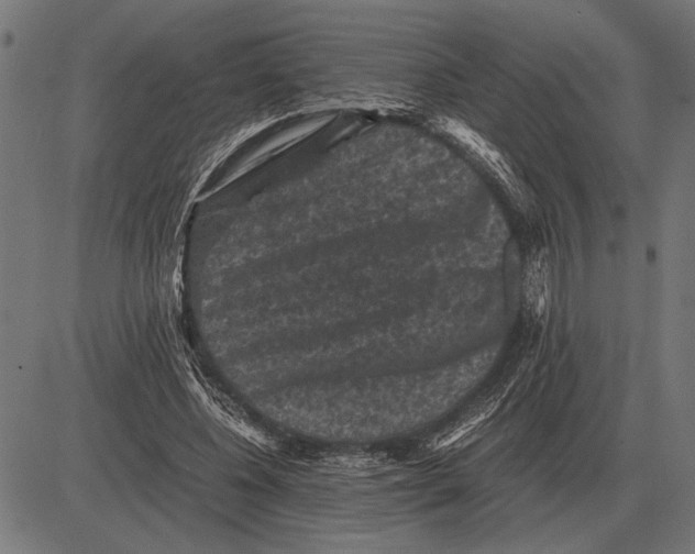 X0000081470540200702021835