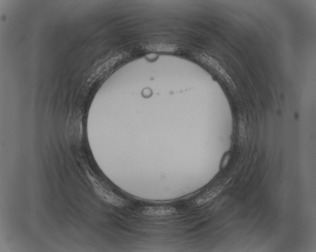 X0000081470541200702021835