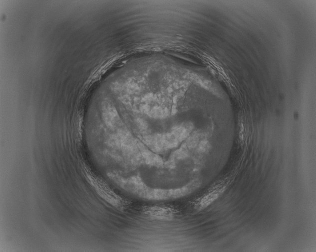 X0000081470542200702021835