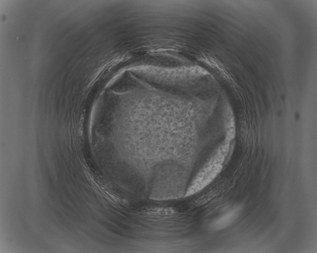 X0000081470543200702021835