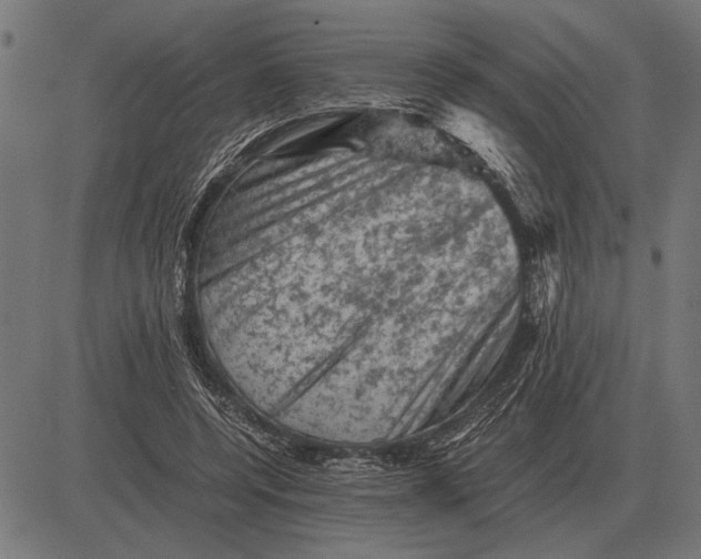 X0000081470544200702021835