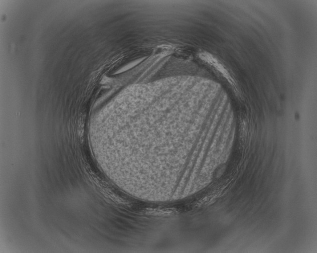 X0000081470545200702021835