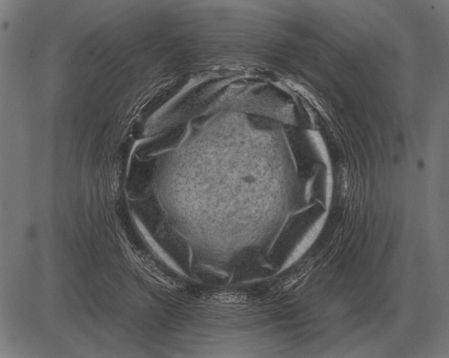 X0000081470546200702021835