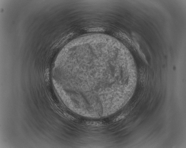 X0000081470549200702021835