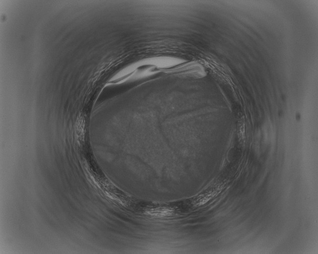 X0000081470551200702021835