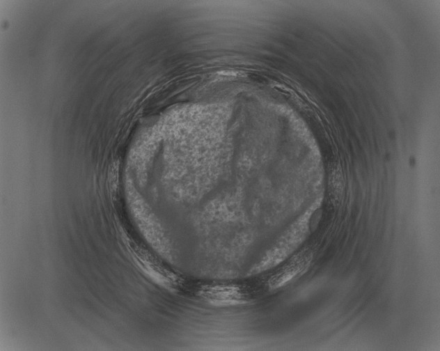 X0000081470554200702021835