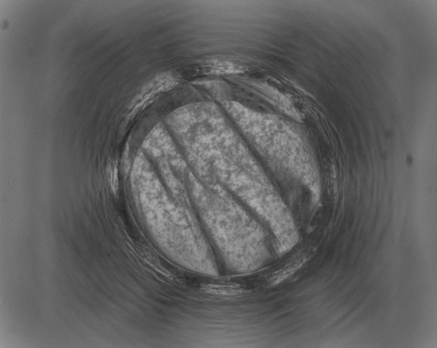 X0000081470556200702021835