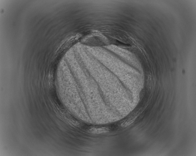 X0000081470557200702021835