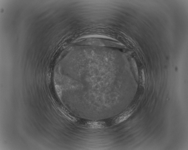 X0000081470558200702021835