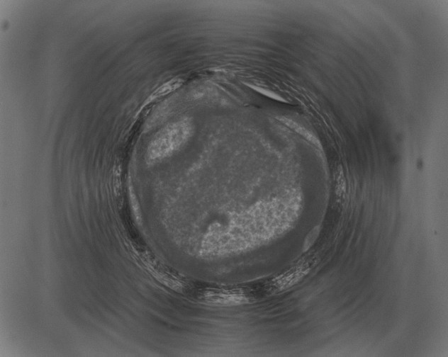 X0000081470559200702021835