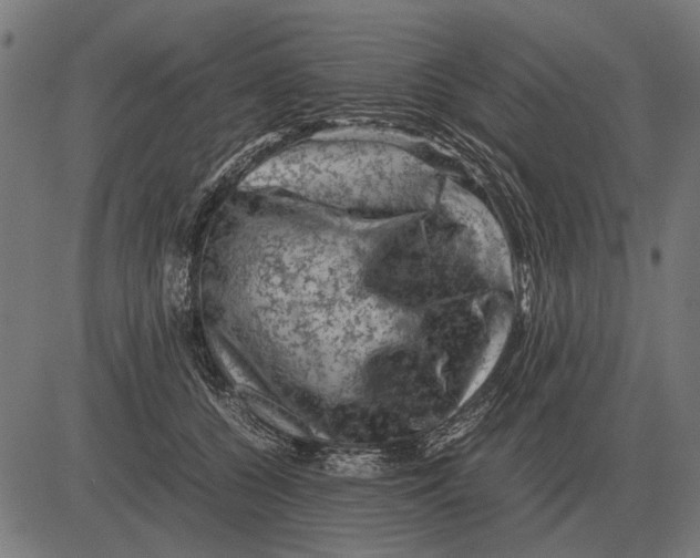 X0000081470560200702021835