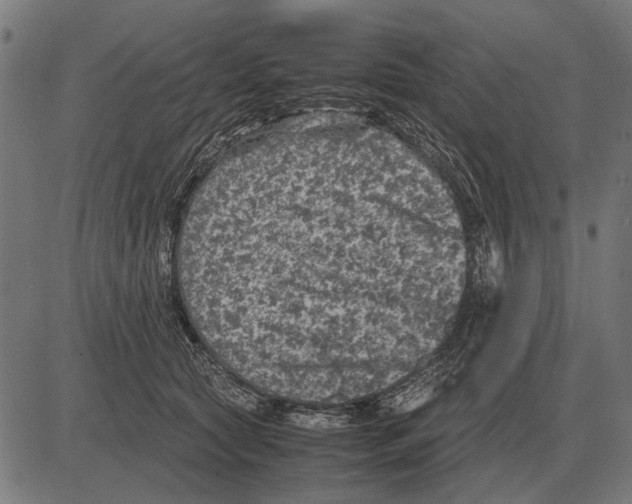 X0000081470561200702021835