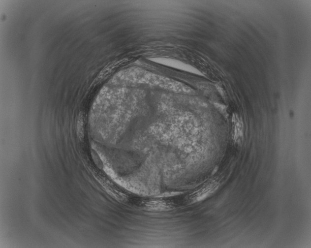 X0000081470562200702021835