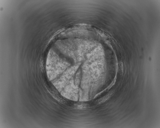 X0000081470564200702021835