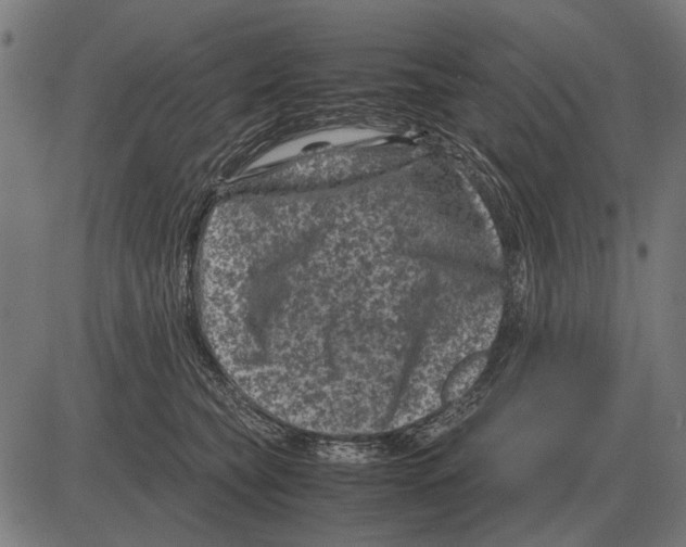 X0000081470565200702021835