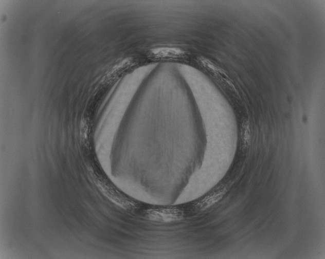 X0000081470567200702021835