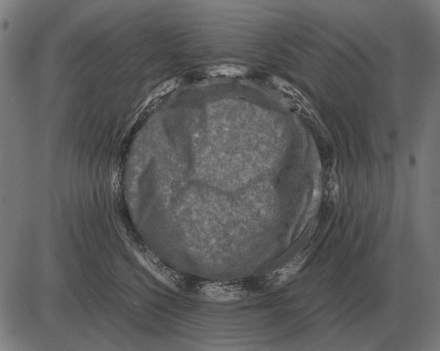 X0000081470568200702021835