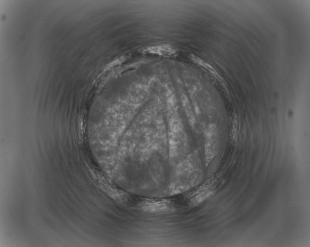 X0000081470569200702021835