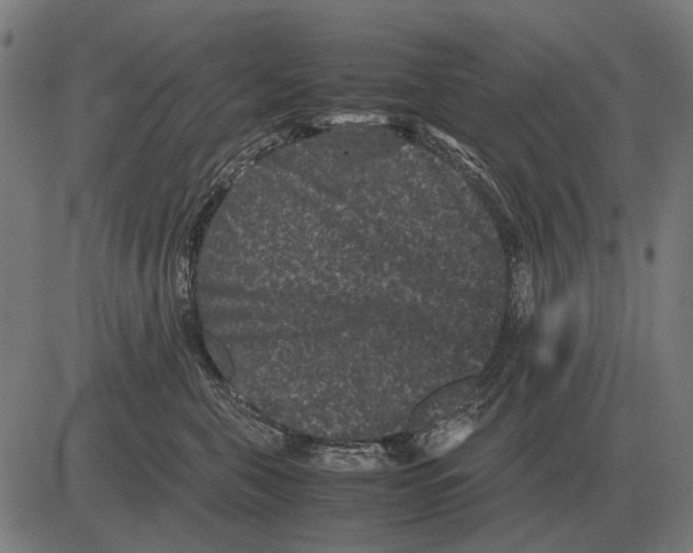 X0000081470571200702021835