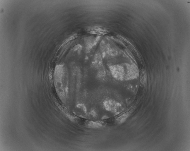 X0000081470573200702021835