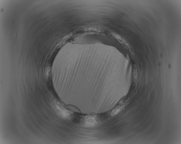 X0000081470574200702021835