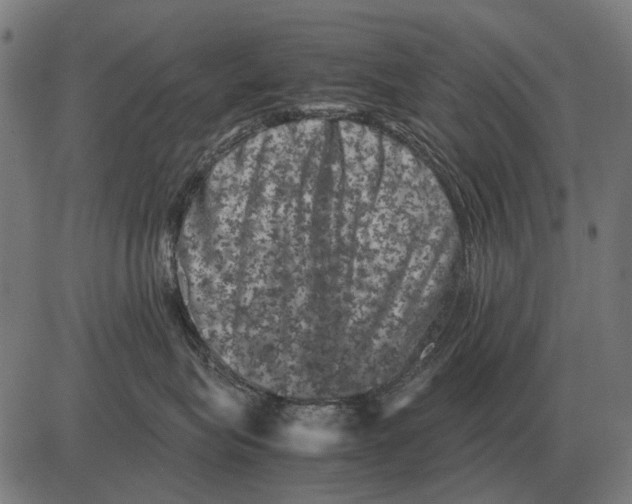 X0000081470575200702021835