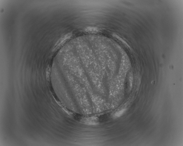 X0000081470576200702021835