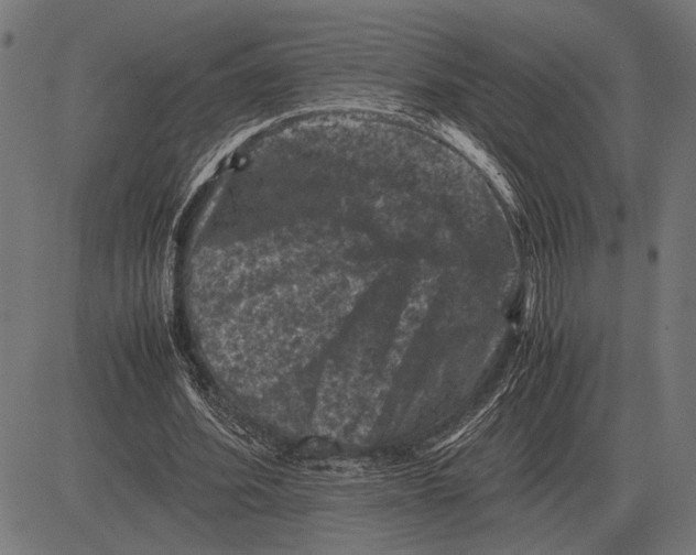 X0000081470580200702021834