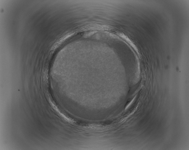 X0000081470581200702021834