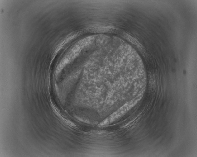 X0000081470582200702021834