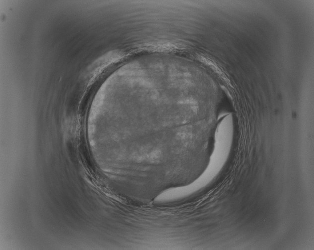 X0000081470583200702021834