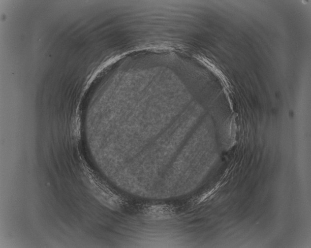 X0000081470584200702021834