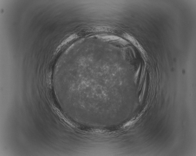 X0000081470585200702021834