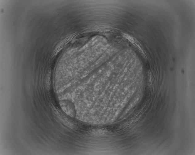 X0000081470586200702021834