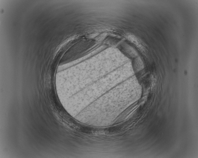 X0000081470587200702021834