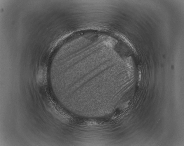 X0000081470588200702021834