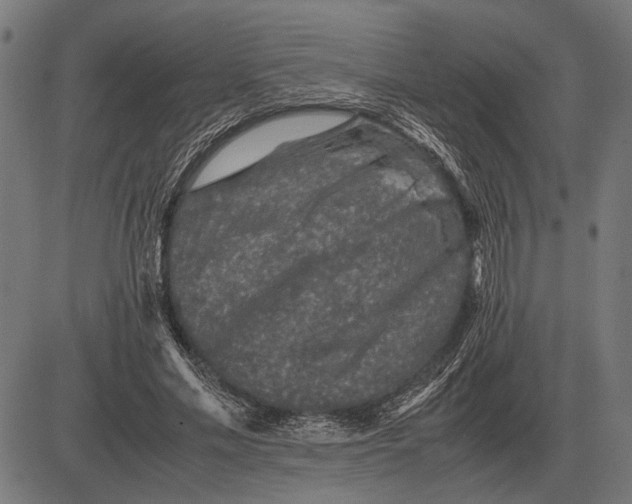 X0000081470589200702021834