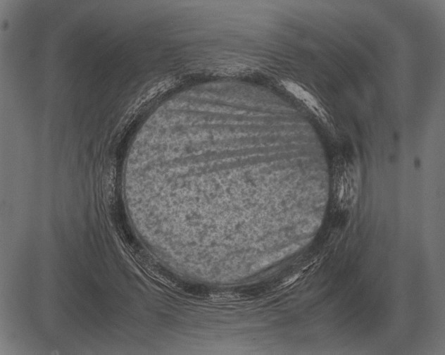 X0000081470591200702021834