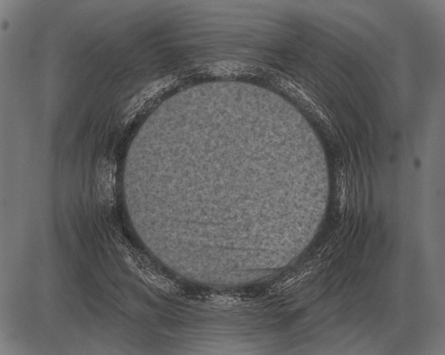 X0000081470592200702021834