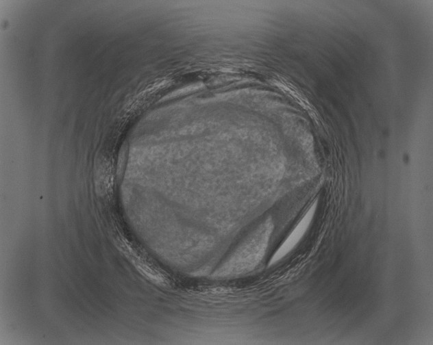 X0000081470593200702021834