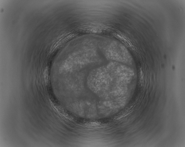 X0000081470594200702021834